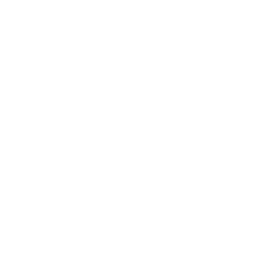 Outline of a cochlear implant device